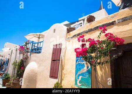 Santorini/Creta, Grecia - 07 luglio 2017: Antichi fiori autentici decorati in strada nell'isola di Santorini Foto Stock