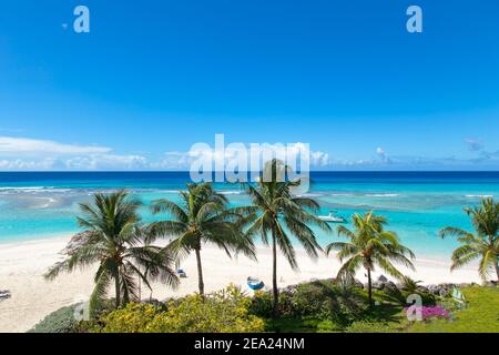 Worthing spiaggia con palme Babrbados in una giornata di sole. Vista aerea. Foto Stock