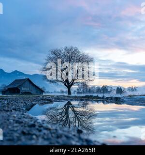 Tramonto con capanna, specchio d'albero, valle del Reno. Nuvole colorate e neve sul campo. Farbade Wolken beim Sonnenuntergang im Rheintal, Baum Spiegelung Foto Stock