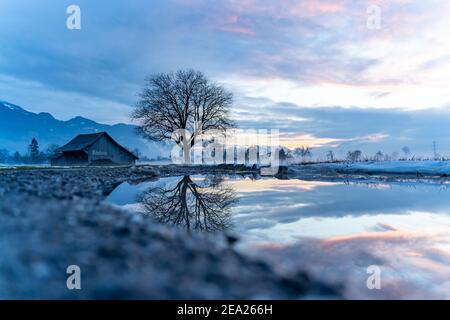 Tramonto con capanna, specchio d'albero, valle del Reno. Nuvole colorate e neve sul campo. Farbade Wolken beim Sonnenuntergang im Rheintal, Baum Spiegelung Foto Stock