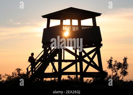 Escursioni, donna al tramonto alle scale di una torre di osservazione, Tunturi, Salla, Finlandia Foto Stock