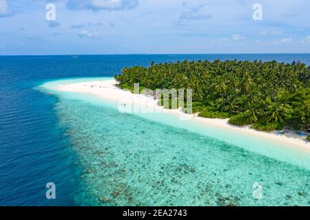 Piccola isola nelle Maldive coperta da palme e circondata da acque turchesi blu con bellissimi coralli e animali, perfetta fuga dal Foto Stock