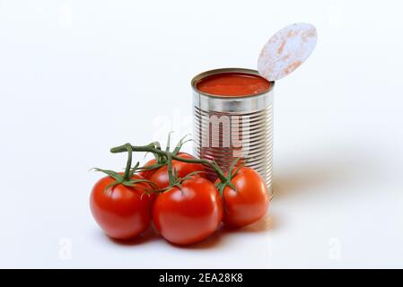 Lattina aperta di pomodori in scatola e pomodori maturi Foto Stock