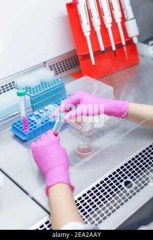 Lo scienziato specializzato tiene il becher con liquido rosso e conduce la PCR Analisi e test immunologico per anticorpi ELISA in un sterile labo professionale Foto Stock