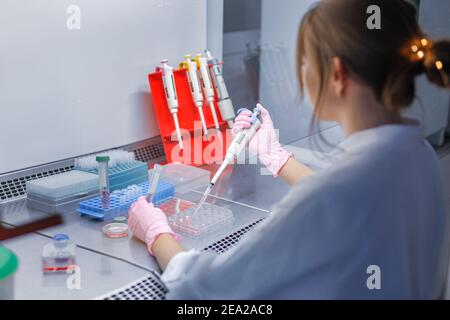Lo scienziato specializzato tiene il becher con liquido rosso e conduce la PCR Analisi e test immunologico per anticorpi ELISA in un sterile labo professionale Foto Stock