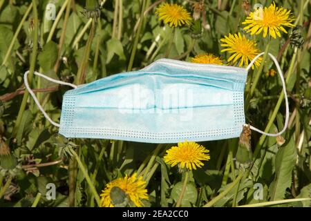 Maschera medica blu su erba con i diandelioni primo piano. Concept coronavirus covid-19 è in estate in primavera in natura. Foto Stock