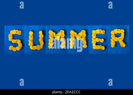 I dandelion gialli freschi giacciono sotto forma della parola estate su foglie blu e uno sfondo blu. Concetto estivo caldo luminoso. Foto Stock
