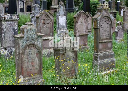 Lapidi al cimitero ebraico, Bad Buchau, Baden-Wuerttemberg, Germania Foto Stock