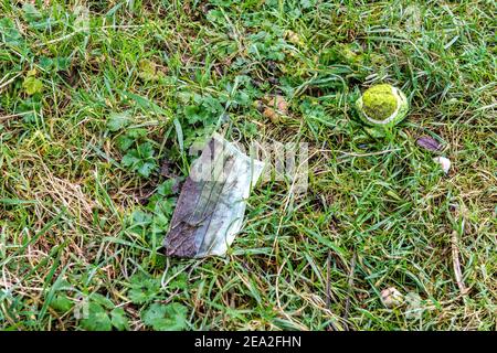 Bantry, West Cork, Irlanda. 7 Feb 2021. Il flagello del blocco di Coronavirus continua a West Cork. Molti rifiuti erano presenti al Bantry Airfield, tra cui numerose maschere di scarico. Credit: AG News/Alamy Live News Foto Stock