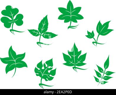 Set di icone lascia isolato su bianco Illustrazione Vettoriale