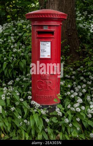 Elsted Village, accoccolato nel South Downs tra Midhurst e Petersfield, West Sussex, Inghilterra, Regno Unito Foto Stock