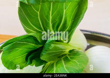 Pak Choi è un parente stretto del cavolo cinese. Forma teste sciolte con vene a foglia brillante. Le foglie sono verdi più scure, simili a quelle della SWI Foto Stock