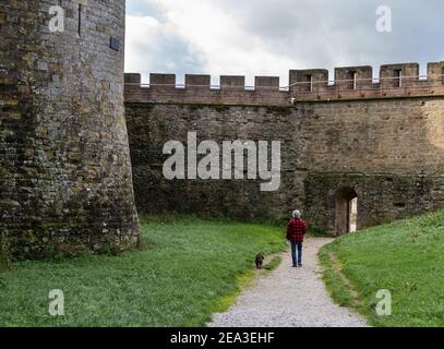 Un uomo con i capelli grigi che cammina il suo piccolo cane nero All'interno della storica città fortificata medievale di Carcassonne nel sud Francia Foto Stock