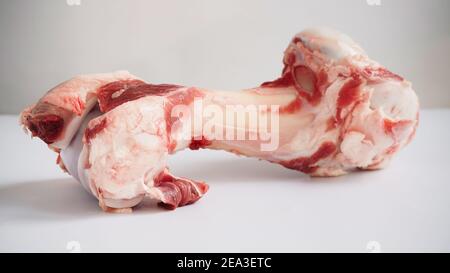 Primo piano osso grezzo grande di mucca animale grande o di maiale su sfondo bianco. Osso per brodo di cottura. Cibo per cani Foto Stock