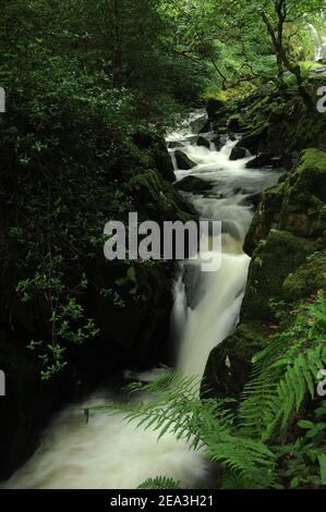 Afon Hwch, Ceunant Mawr, Llanberis. Foto Stock