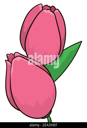Bulbi di tulipano rosa e foglia in stile cartoon, isolati su sfondo bianco. Illustrazione Vettoriale