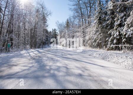 Una strada coperta di neve dopo che un aratro di neve ha attraversato e gli alberi che sono neve coperta. Foto Stock