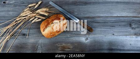 Vista dall'alto del pane appena sfornato in casa con coltello da taglio e steli di grano essiccato su tavole di legno stagne Foto Stock