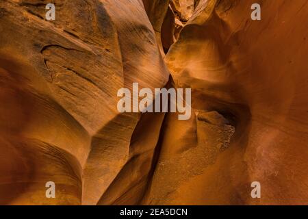 Formazioni di arenaria Navajo dei narcow all'interno del Little Wild Horse Canyon nel San Rafael Swell, Utah meridionale, USA Foto Stock