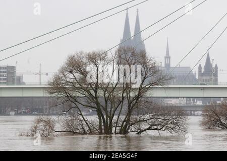 Colonia, Germania. 07 febbraio 2021. Le rive del fiume Reno si vedono allagate. Le forti piogge e la scioglimento della neve hanno causato inondazioni e frane in Germania. I livelli di acqua dei fiumi principali hanno raggiunto i loro livelli più alti. Credit: SOPA Images Limited/Alamy Live News Foto Stock