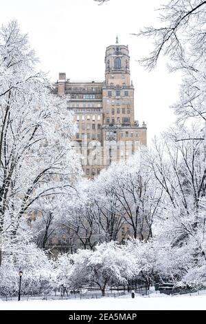 Alberi innevati in Central Park durante una Nor'easter. Foto Stock