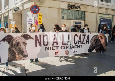 Madrid, Spagna. 07 febbraio 2021. Dimostrazione davanti al congresso dei deputati di Plataforma NAC. 'No a la cazaa' (No Caccia.) Combatte contro la caccia in tutte le sue forme e ha l'obiettivo immediato di terminare la caccia con i levrieri e altre razze. (Foto di Alberto Sibaja/Pacific Press) Credit: Pacific Press Media Production Corp./Alamy Live News Foto Stock