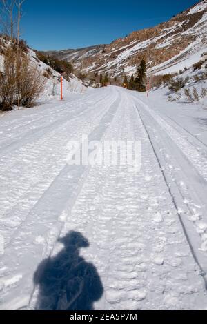 La strada che oltrepassa South Fork Bishop Creek nella contea di Inyo, California, è coperta di neve questo periodo dell'anno, il che lo rende un buon percorso escursionistico, anche per i cani. Foto Stock