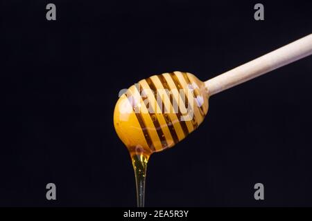 Il miele gocciola su sfondo di balck Foto Stock