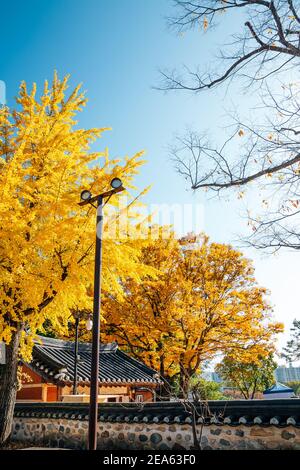 Yeongnamnu tradizionale padiglione coreano in autunno a Miryang, Corea Foto Stock