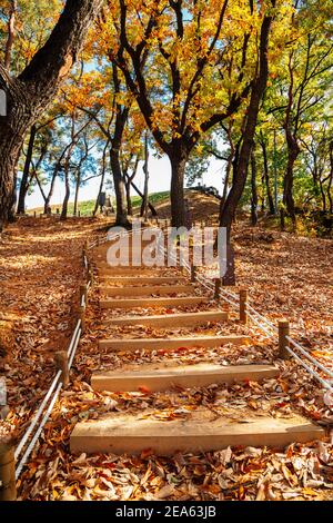 Autunno colorata strada forestale a Miryang Eupseong Fortezza a Miryang, Corea Foto Stock