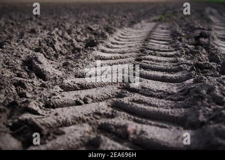 Traccia di un trattore su un campo arato Foto Stock