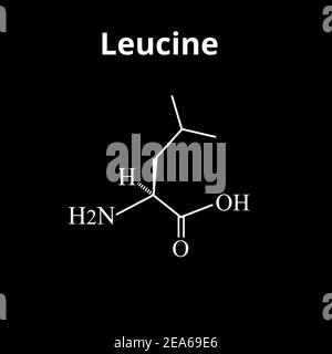 Aminoacido Leucina. Formula molecolare chimica della leucina amminoacidica. Illustrazione vettoriale su sfondo isolato Illustrazione Vettoriale