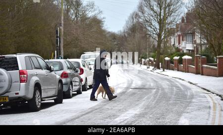 Brighton UK 8 febbraio 2021 - UN cane Walker nel Queens Park Brighton dopo una leggera caduta di neve durante la notte con più previsioni per le parti dell'Est e del Sud Est di oggi: Credit Simon Dack / Alamy Live News Foto Stock