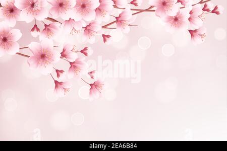 Periodo primaverile splendido sfondo con fiori di ciliegi in fiore primaverile. Ramo Sakura con petali volanti. Illustrazione vettoriale Illustrazione Vettoriale