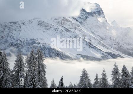 Cortina (Bl, Italia. 8 Feb 2021. Cortina (BL), Italia, Olympia delle Tofane, 08 febbraio 2021, atmosfera, paesaggio a Cortina d'Ampezzo dove la corsa femminile combinata alpina viene annullata a causa della nevicata durante i Campionati mondiali DI SCI alpino 2021 FIS - combinazione Alpina - Donne - gara di sci alpino Credit: Luca Tedeschi/LPS/ZUMA Wire/Alamy Live News Foto Stock