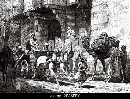 Carrozza lungo una strada al Cairo, antica storia dell'Egitto. Antica illustrazione del 19 ° secolo inciso da El Mundo Ilustrado 1879 Foto Stock