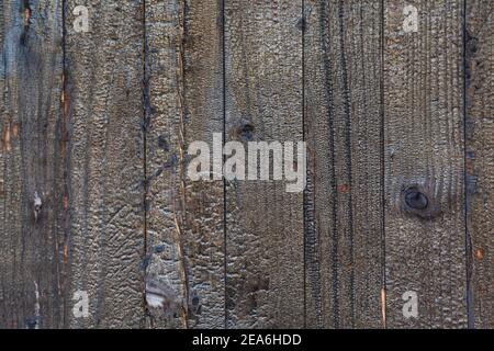 Legno bruciato trama sfondo. Immagine ad alta risoluzione di carbone bruciato muro di legno nero Foto Stock