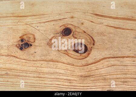 Legno di fondo. Immagine ad alta risoluzione della grana del legno chiaro con nodi. Foto Stock