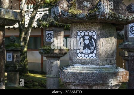 Un vecchio Kasuga-doro, o una lanterna di pietra giapponese in stile Kasuga al santuario Tamukeyama Hachimangu vicino al tempio Todai-ji a Nara, Giappone Foto Stock