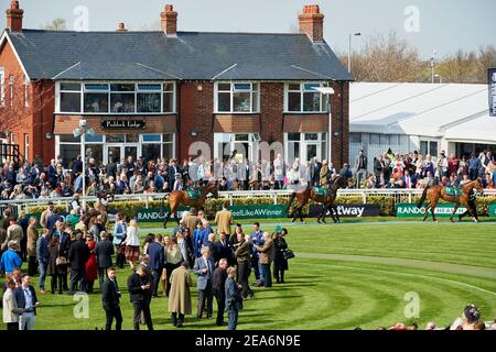 I cavalli al Grand National si fanno strada intorno alla precorsa dell'anello della parata che si tiene annualmente all'Ippodromo di Aintree, vicino a Liverpool, Inghilterra. Foto Stock