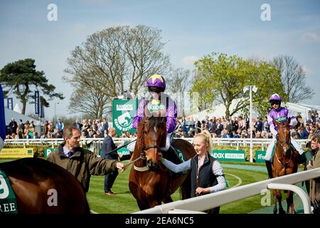 I jockeys al Grand National si fanno strada intorno alla precorsa dell'anello della parata che si tiene annualmente all'Ippodromo di Aintree, vicino a Liverpool, Inghilterra. Foto Stock