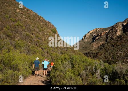 Escursionisti sul Leopard Trail, Baviaanskloof, Sud Africa Foto Stock