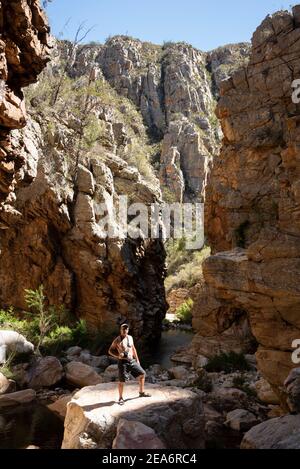 Escursioni / kloofing a Cedar Falls, Baviaanskloof, Sud Africa Foto Stock