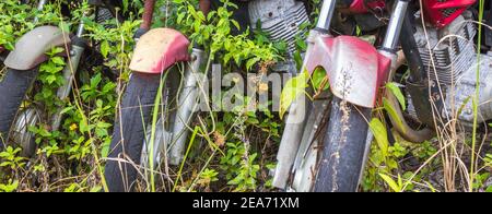 Primo piano di moto abbandonate in un parco Foto Stock