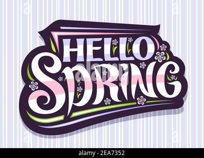 Scritta vettoriale Hello Spring, badge scuro con carattere calligrafico riccamente unico, fiori decorativi, illustrazione di fiori primavera, biglietto d'auguri wi Illustrazione Vettoriale