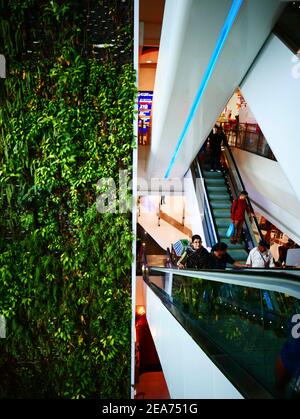 Siam Paragon edificio ascensore Bangkok Thailandia Foto Stock