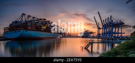 Navi a Amburgo Waltershofer Hafen Foto Stock