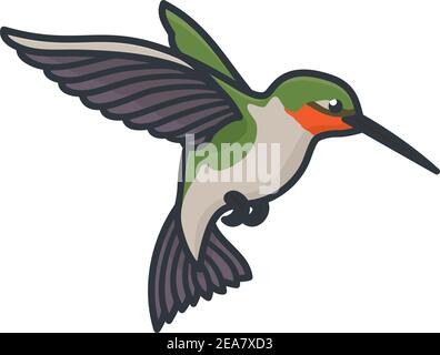 Illustrazione vettoriale isolata di colibrì con gola di rubino per Butterfly e Hummingbird Day Il 3 ottobre Illustrazione Vettoriale