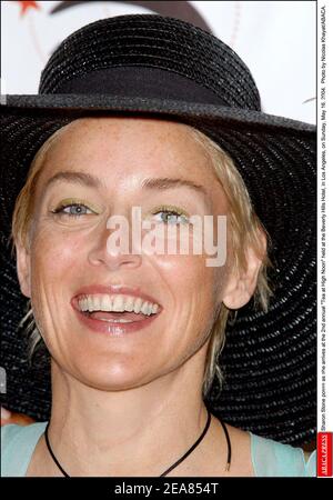 Sharon Stone si pone come arriva al 2 ° tè annuale a High Noon tenuto al Beverly Hills Hotel, a Los Angeles, Domenica, 16 maggio 2004. Foto di Nicolas Khayat/ABACA. Foto Stock