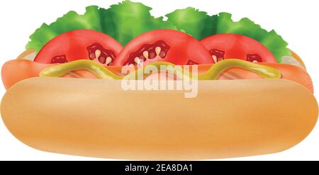 Hot dog con senape, lattuga e pomodori rossi isolati su sfondo bianco. Illustrazione vettoriale fotorealistica. Illustrazione Vettoriale